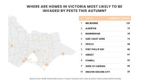 Seville ranked among highest for home-invading pests