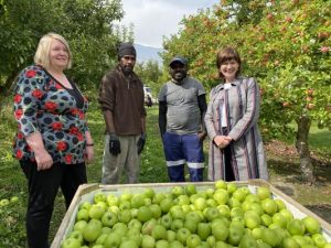 Seasonal workers to help save local harvests