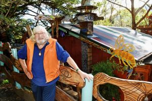 Saving Boinga’s iconic treehouse