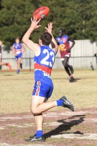 Tigers roar, Dogs fall short