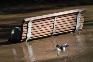 Storm in pictures