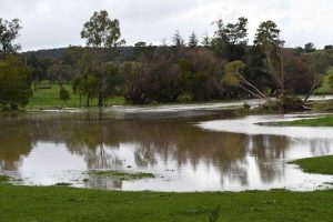 flood warning issued for Yarra Glen