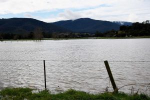 Blackout in the Yarra Valley