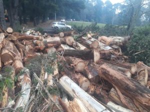 Storm cleanup continues