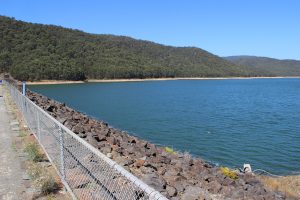 Dam works progressing