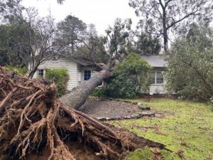 Council plea for federal funding for storm recovery