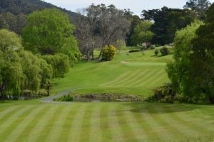 Warburton Golf comp results