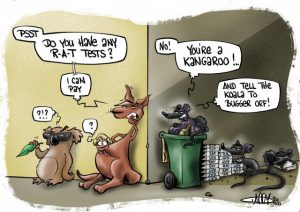 CARTOON: Rapid Antigen Tests of high demand