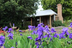 New exhibit coming to the Mont De Lancey gallery
