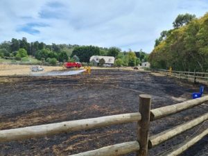 Paddock fires spark renewed calls for fire hazards