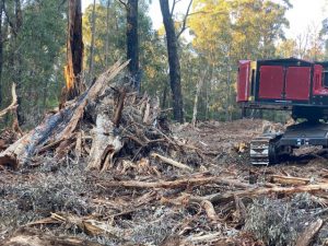 Changes to logging codes could wind back protections