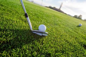 Warburton Golf Club results