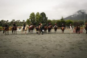 Upper Yarra Pony Club prepares for 60th anniversary