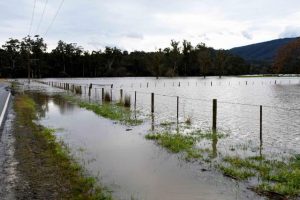 Yarra Ranges Council releases community grants for storm anniversary
