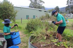 Millwarra Primary School students learning life skills