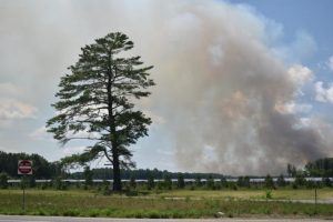 Planned burns through March and April