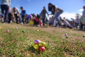 Easter egg hunts at Warratina Lavender Farm and Eastern Golf Club
