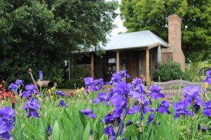 Art on the Hill applications open soon