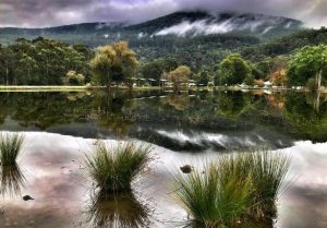 Fishing opportunities in the Upper Yarra