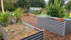 Wandin Yallock Primary School’s Farm program flourishing