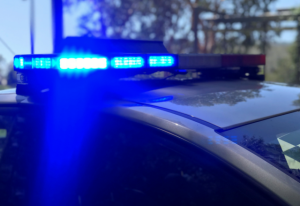 Supporting community safety with police reforms
