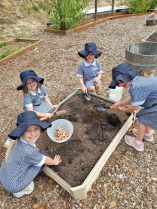 Seville Primary School receive grant to help boost their new sustainability program