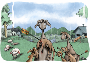 Cartoon: Kangaroo Tragedy