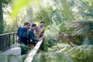 Wine & Wildlife at Healesville Sanctuary celebrates its 10-year anniversary