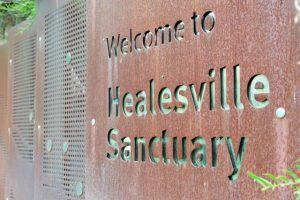 Keeping FMD out of Healesville Sanctuary