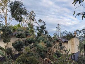 Insurance premiums continue to rise in the Yarra Ranges