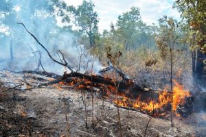 Fire Danger Ratings system changing from September