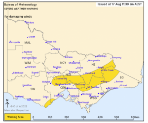 Strong winds once again set to hit Upper Yarra