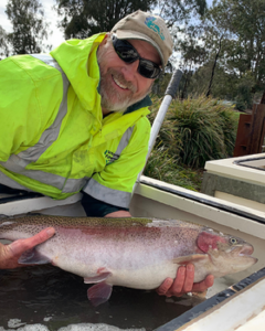 Rainbow trout restocked in Yarra Ranges
