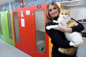 Animal welfare organisations come together for Mission Adoptable