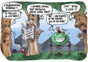 CARTOON: Keeping the tree canopy healthy