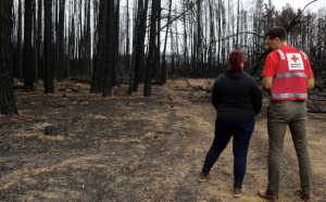 Red Cross advise people to prepare their emergency plan now