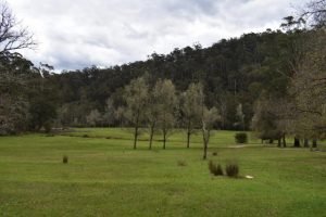 Visitors enjoying the long weekend at Upper Yarra Reservoir Park after reopening