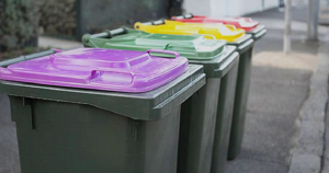 Draft waste plan set to see waste bins picked up fortnightly and food, organic bins weekly supported by councillors