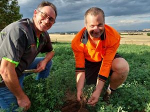 The key to building healthy soil