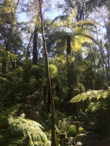 Wanderslore Sanctuary Open Day in October