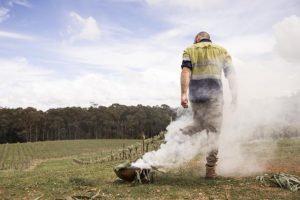 Beenak Vineyard opened with smoking ceremony