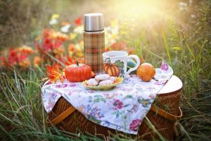 Three… local picnic spots