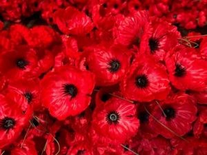 Three… ways to show respect on Remembrance Day