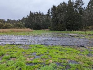 Trust for Nature targeting more critical Victorian areas for protection