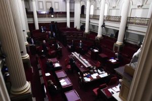 Local candidates miss out as Upper House election results confirmed