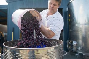 Sweet blueberry wine from Healesville