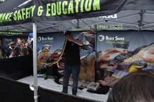 Summer snake sightings mean safety and education is a top priority