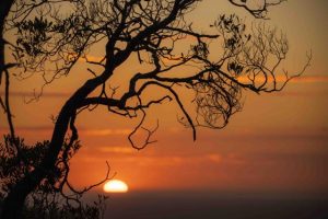 A photographer’s delight in the Yarra Ranges