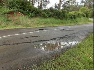 Monbulk-Seville Road, Wandin East undergoing vegatation removal works