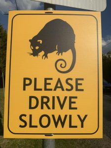 Slow down for animals asks Wildlife Victoria